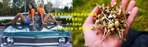 кокаин колумбия Гусев