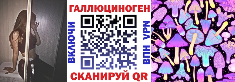 Псилоцибиновые грибы Cubensis  Питкяранта 